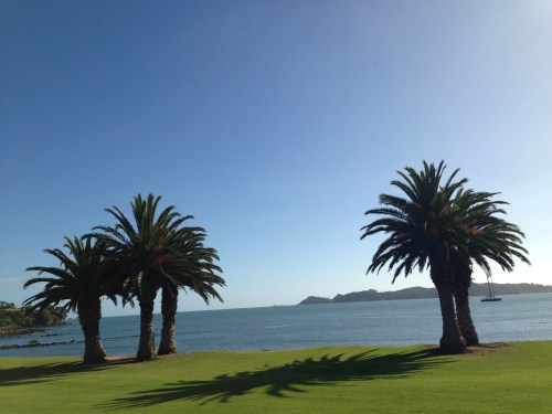 Could have been in Fiji